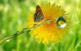 /album/fenykepgaleria/images-19-jpg/